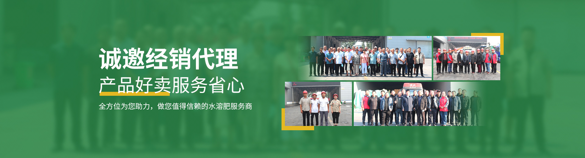 水溶肥料-大宗元素水溶肥-含氨基酸水溶肥料-高塔复合肥-水溶肥生产厂家-万利官网