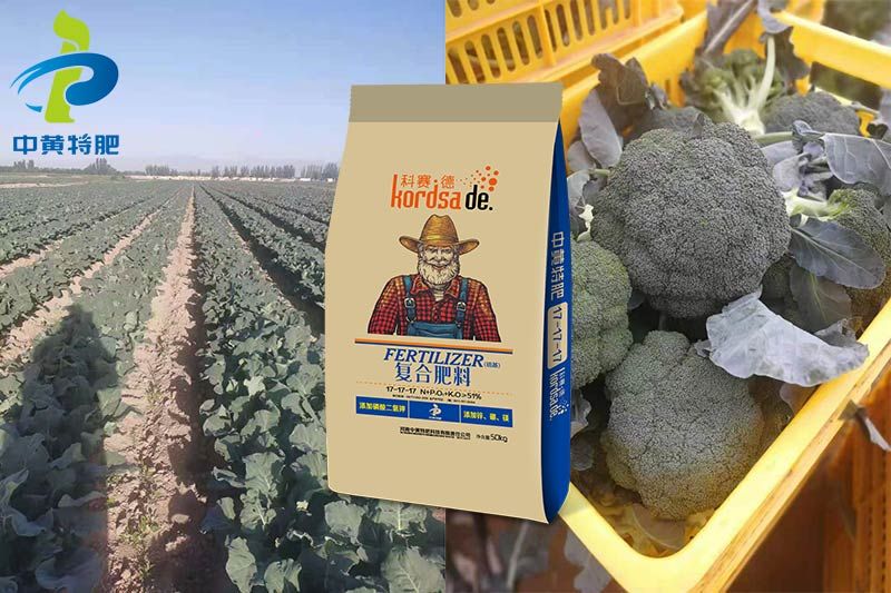 今年陈司理西蓝花丰收了,说这都是科赛德复合肥的收获!